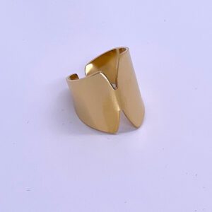 Inel inoxidabil reglabil auriu un accesoriu elegant și durabil, perfect pentru orice ocazie.
